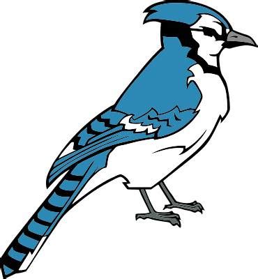 blue jay clipart|blue jay images free.